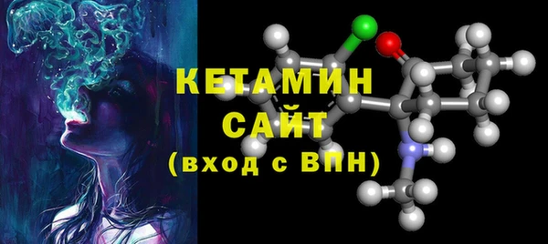 шишки Инсар