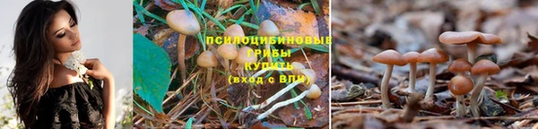спайс Алзамай