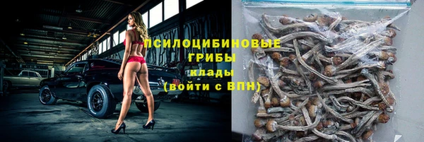 прущие грибы Костерёво