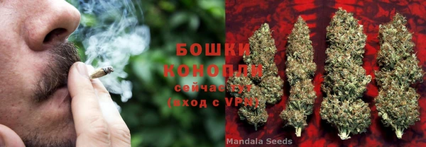 трава Алексеевка