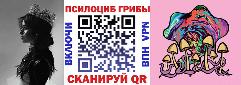 Псилоцибиновые грибы Cubensis  Слюдянка 